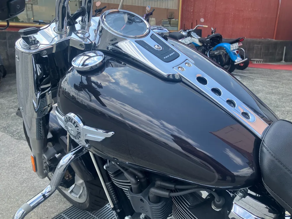 Harley-Davidson FLFBS 2021, gun m, фото 16