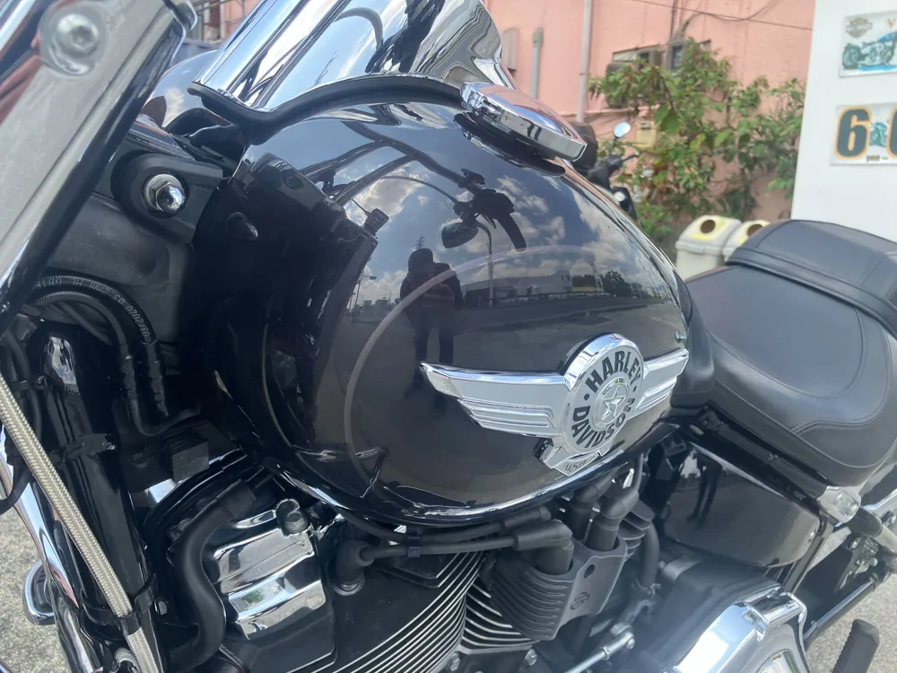 Harley-Davidson FLFBS 2021, gun m, фото 17