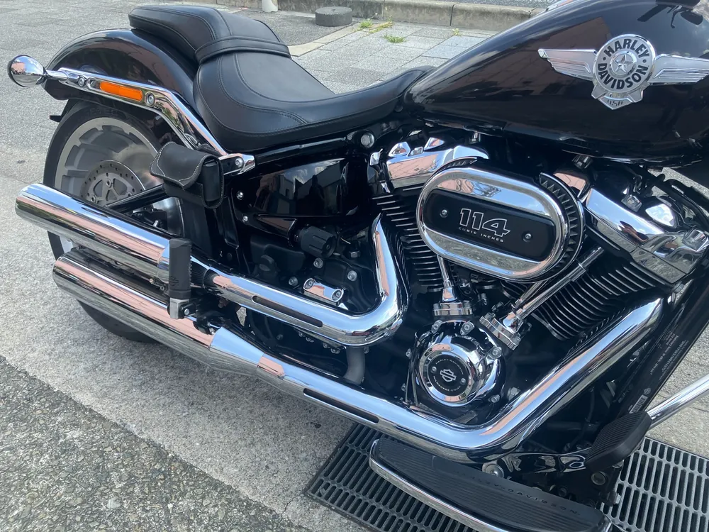 Harley-Davidson FLFBS 2021, gun m, фото 18