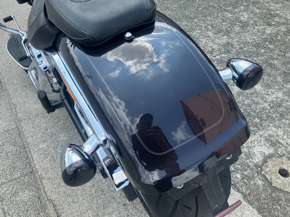 Harley-Davidson FLFBS 2021, gun m, фото 19