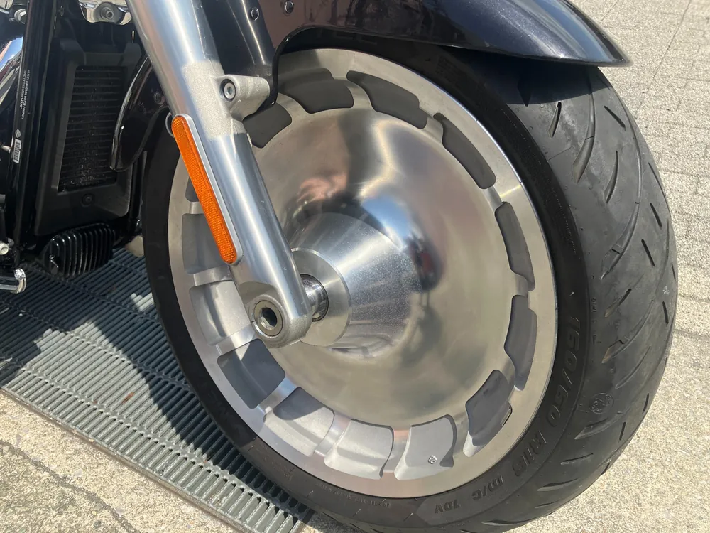 Harley-Davidson FLFBS 2021, gun m, фото 20