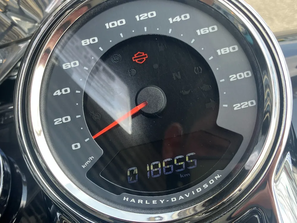 Harley-Davidson FLFBS 2021, gun m, фото 3