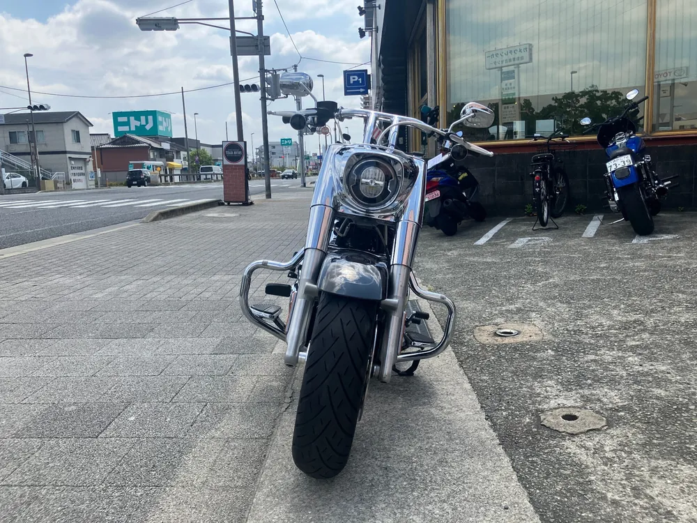 Harley-Davidson FLFBS 2021, gun m, фото 4