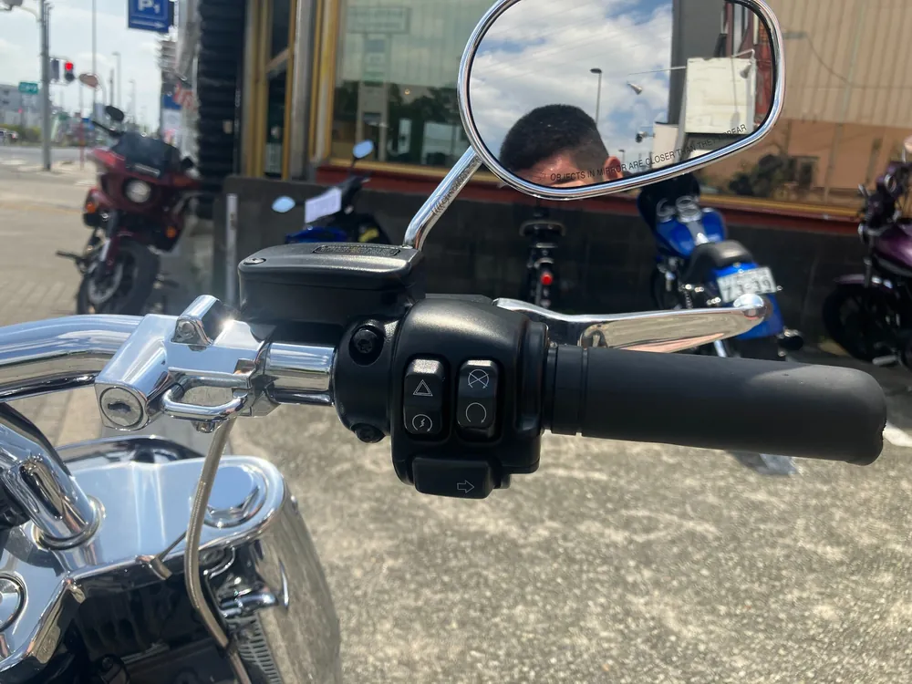 Harley-Davidson FLFBS 2021, gun m, фото 9