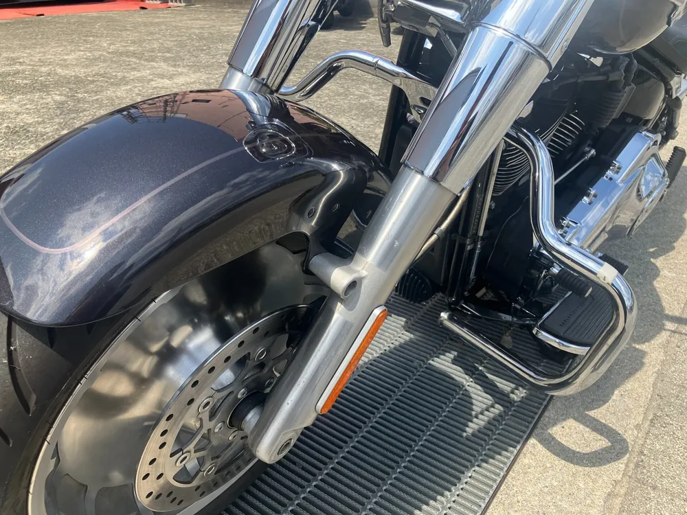 Harley-Davidson FLFBS 2021, gun m, фото 10