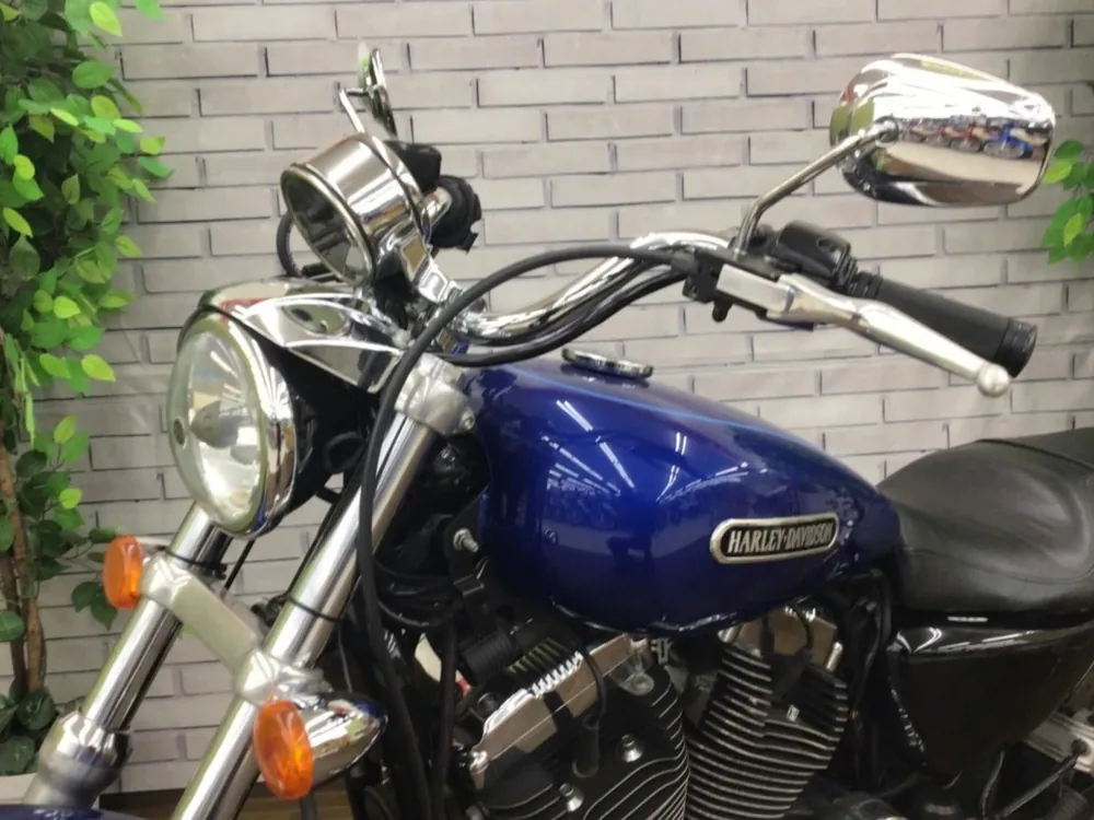 Harley-Davidson XL1200L Sportster 2009, синий, фото 6