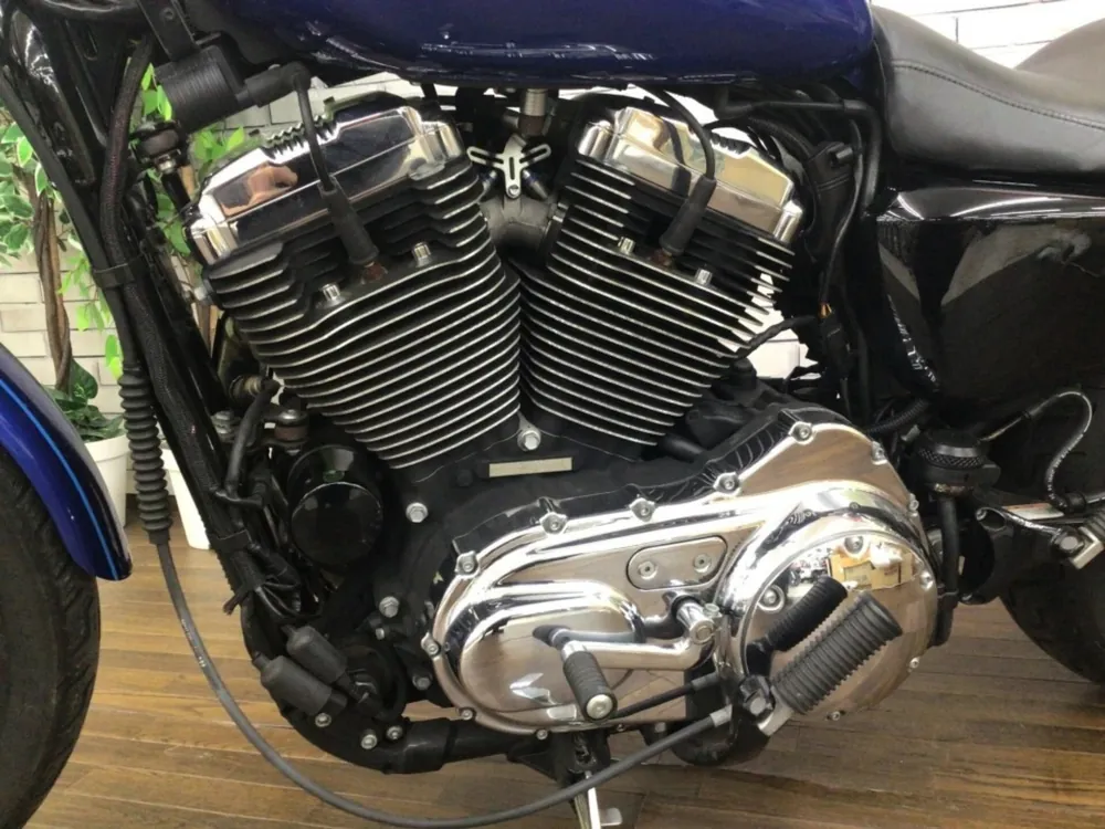 Harley-Davidson XL1200L Sportster 2009, синий, фото 7