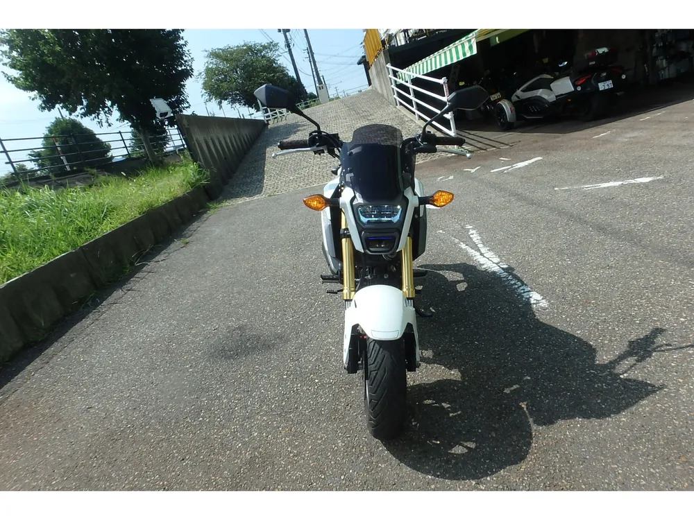 Honda Grom, белый, фото 2