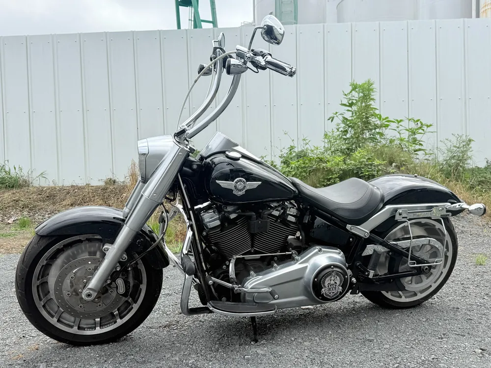 Harley-Davidson FLFBS 2018, чёрный, фото 3