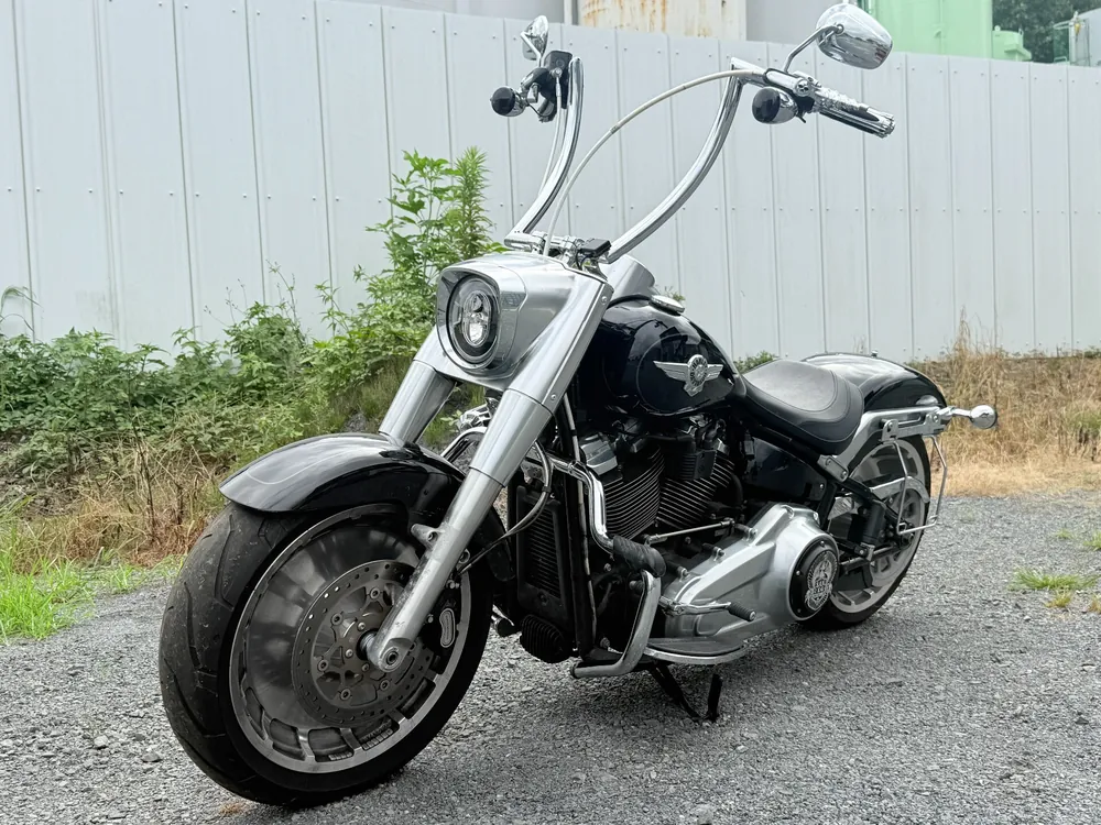 Harley-Davidson FLFBS 2018, чёрный, фото 10