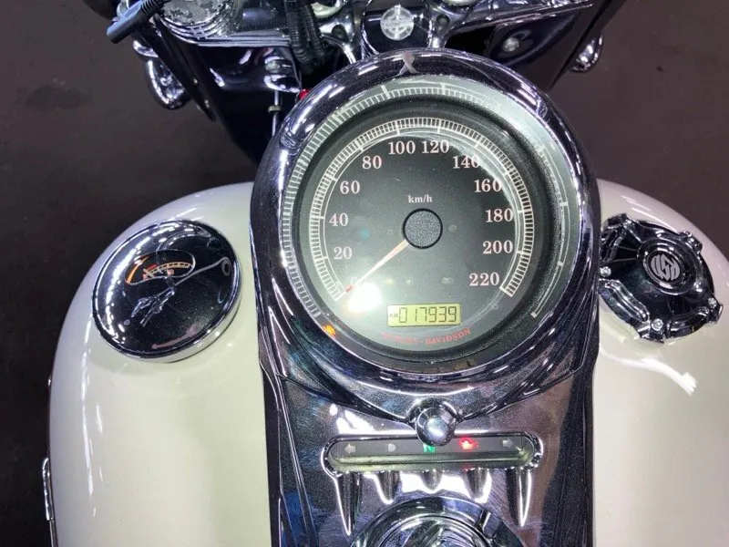 Harley-Davidson Softail Deluxe 2013, фото 2