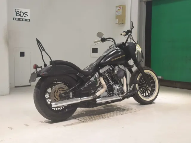 Harley-Davidson FLSTF 1450 2001, matt black, фото 5