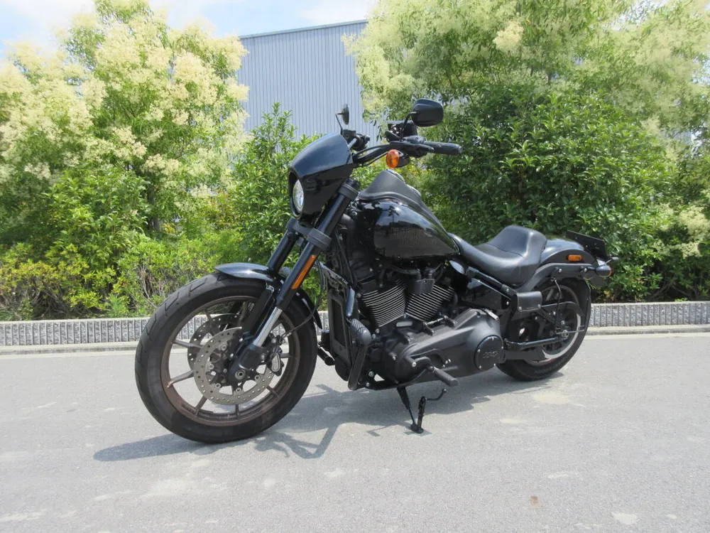 Harley-Davidson FXLRS 2021, фото 8