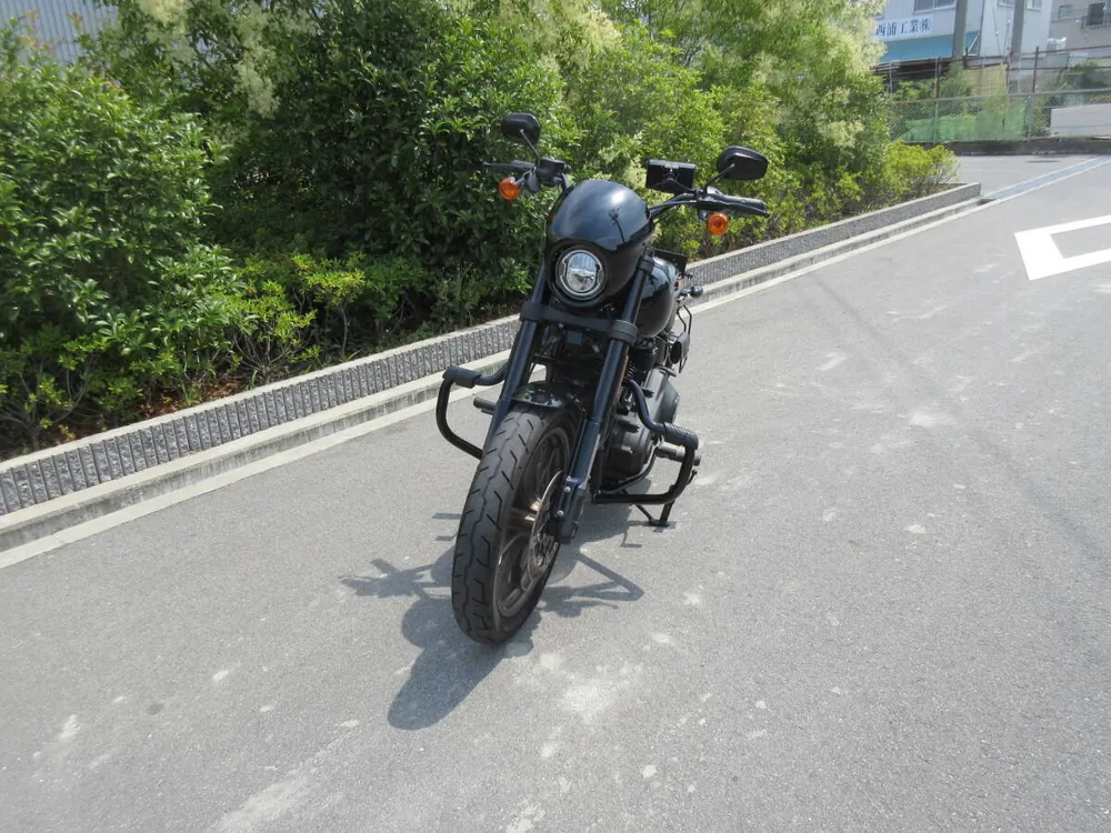 Harley-Davidson FXLRS 2021, фото 9