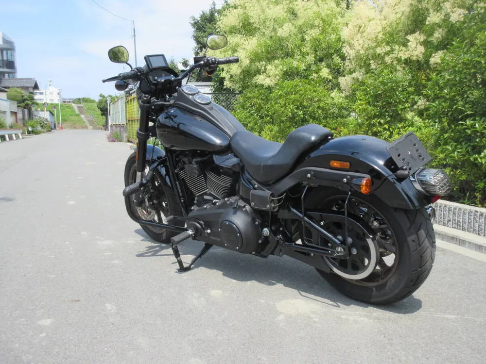 Harley-Davidson FXLRS 2021, фото 10