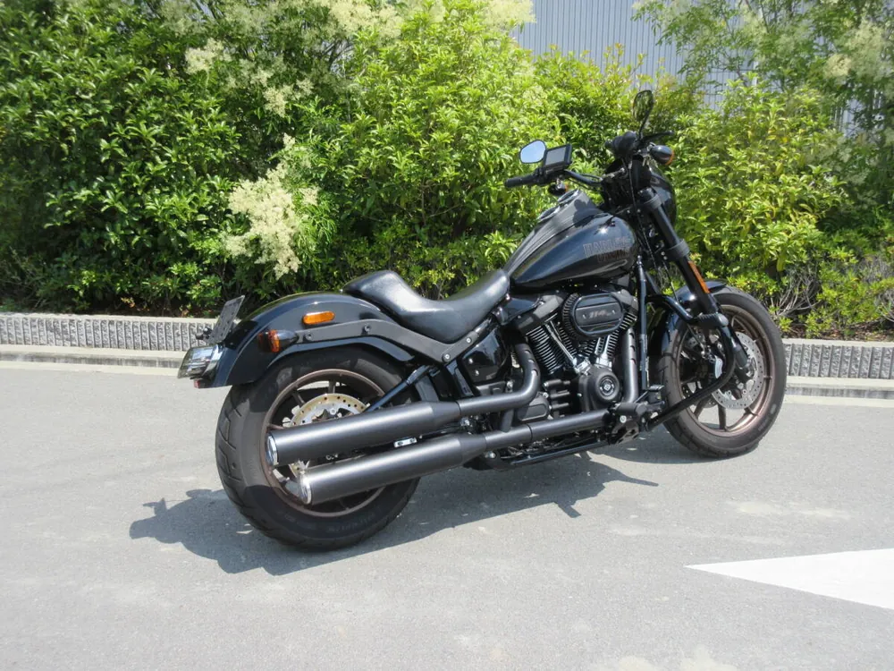 Harley-Davidson FXLRS 2021, фото 3