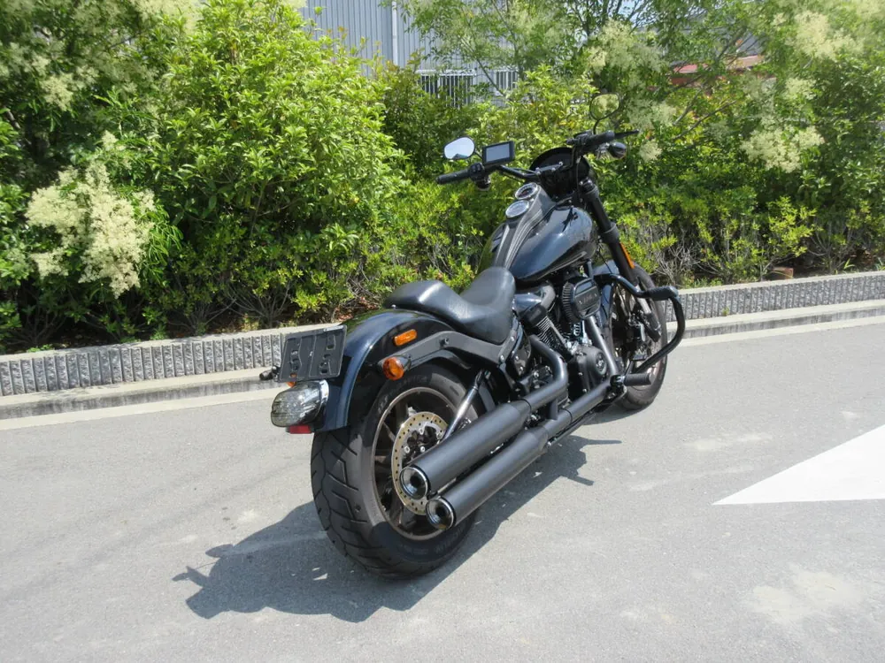 Harley-Davidson FXLRS 2021, фото 4