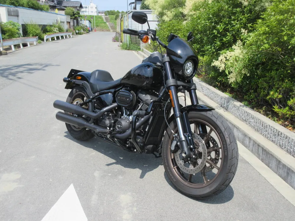 Harley-Davidson FXLRS 2021, фото 5