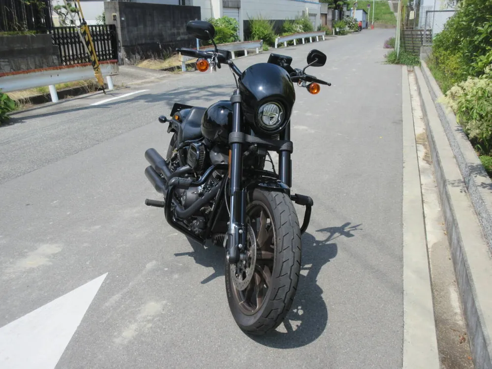 Harley-Davidson FXLRS 2021, фото 6