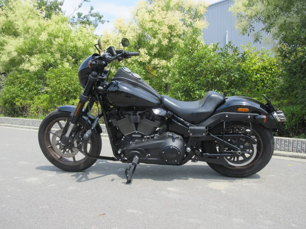 Harley-Davidson FXLRS 2021, фото 7