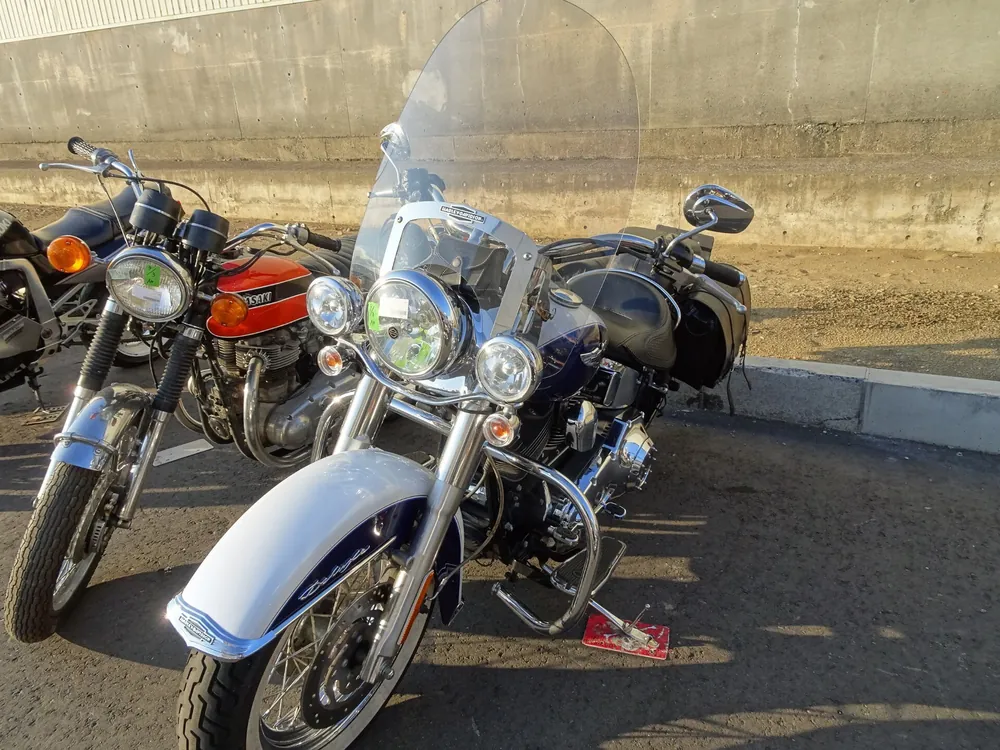 Honda Grom, жёлтый, фото 4