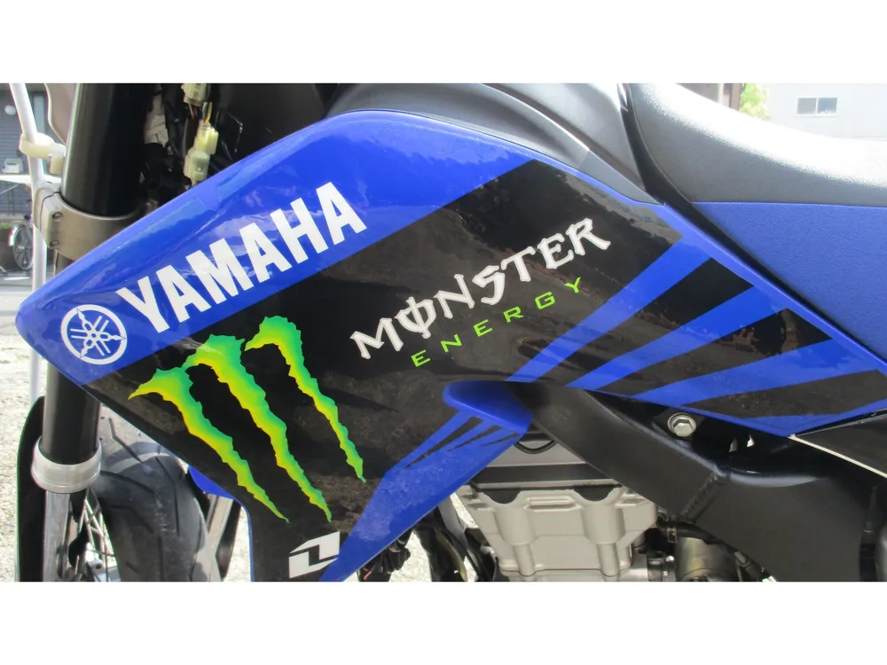 Yamaha WR250R, синий, фото 16