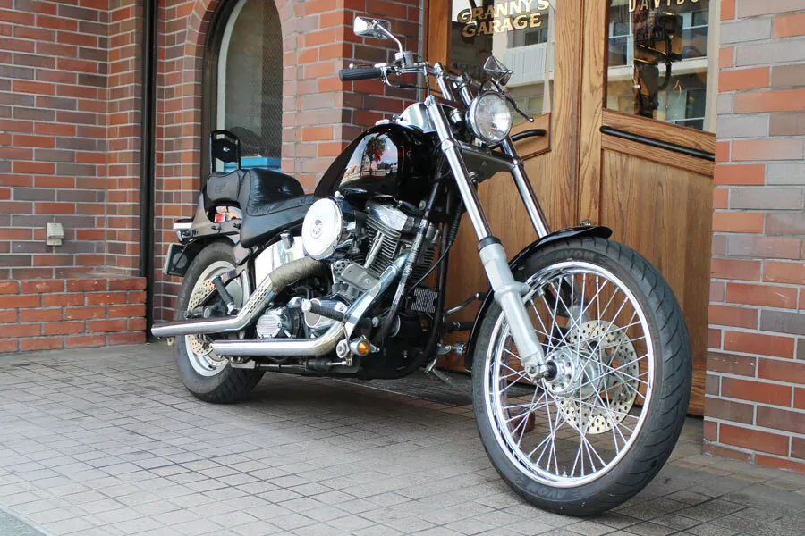 Harley-Davidson Softail Custom 1988, фото 3