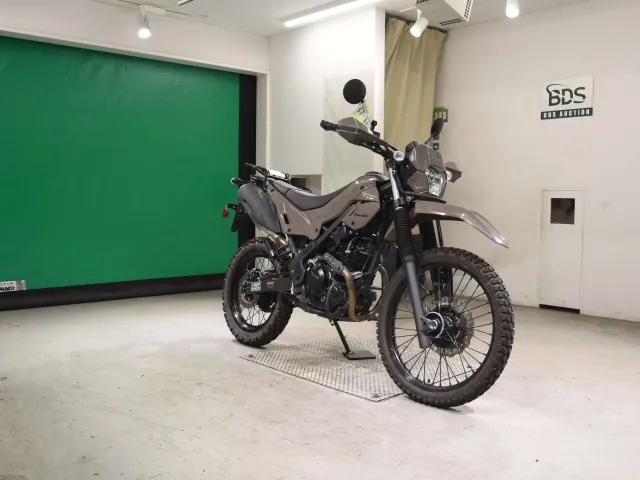 Kawasaki KLX230 Sherpa, серый, фото 3