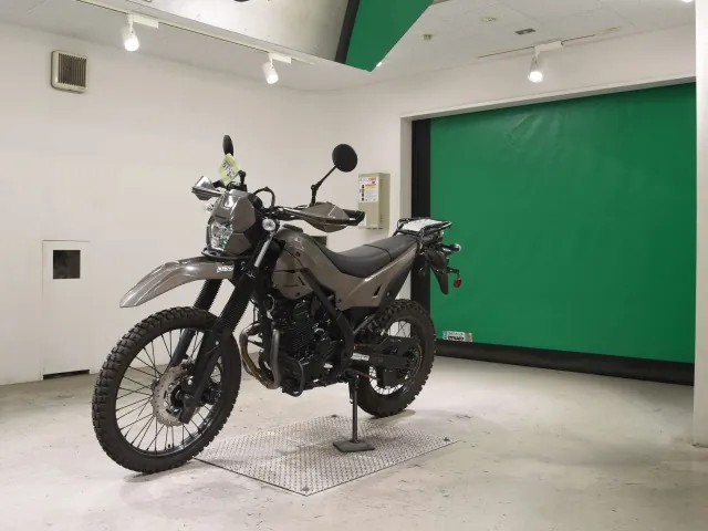 Kawasaki KLX230 Sherpa, серый, фото 4