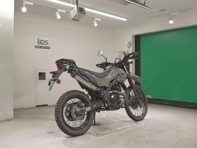 Kawasaki KLX230 Sherpa, серый, фото 5