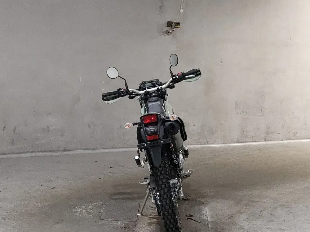 Kawasaki KLX230 Sherpa, зелёный, фото 4