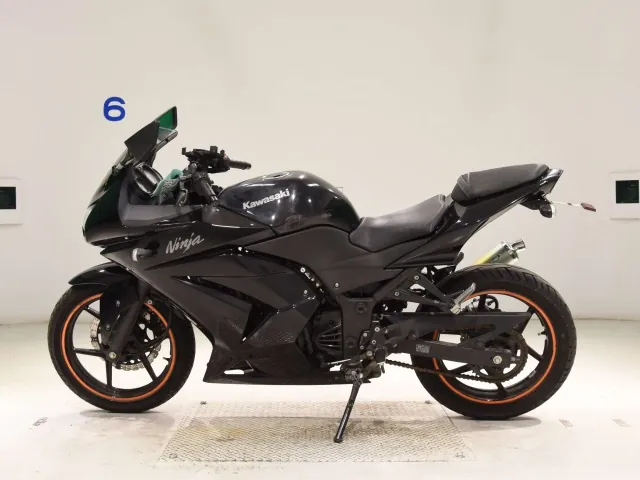 Kawasaki Ninja 250SL, чёрный, фото 2