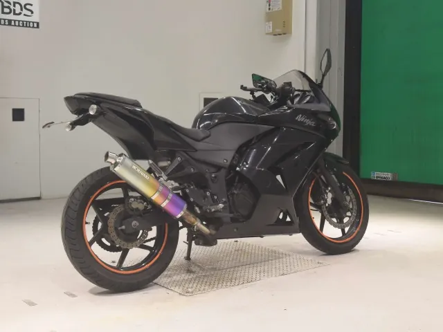 Kawasaki Ninja 250SL, чёрный, фото 5