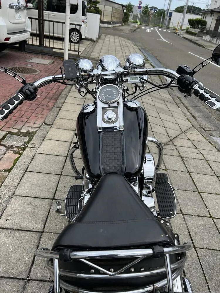 Harley-Davidson FLSTS 1998, фото 9
