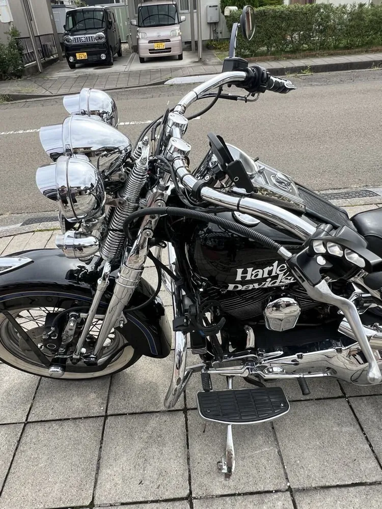Harley-Davidson FLSTS 1998, фото 3