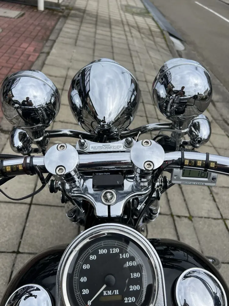 Harley-Davidson FLSTS 1998, фото 5