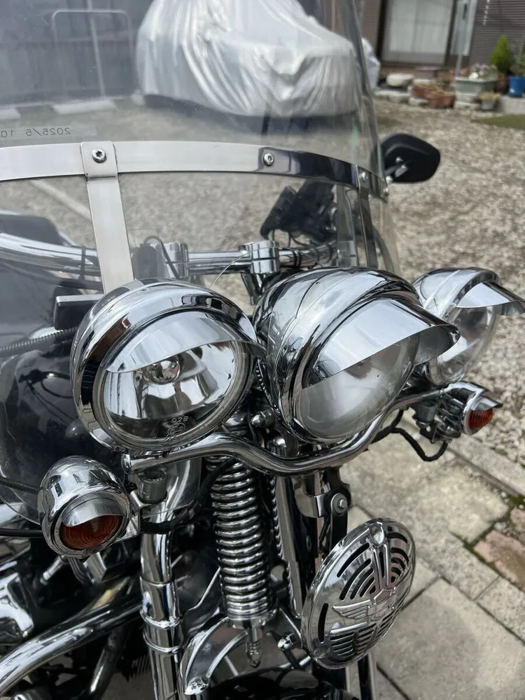 Harley-Davidson FLSTS 1998, фото 6