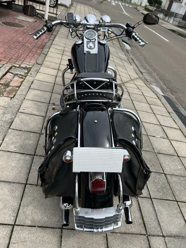 Harley-Davidson FLSTS 1998, фото 7