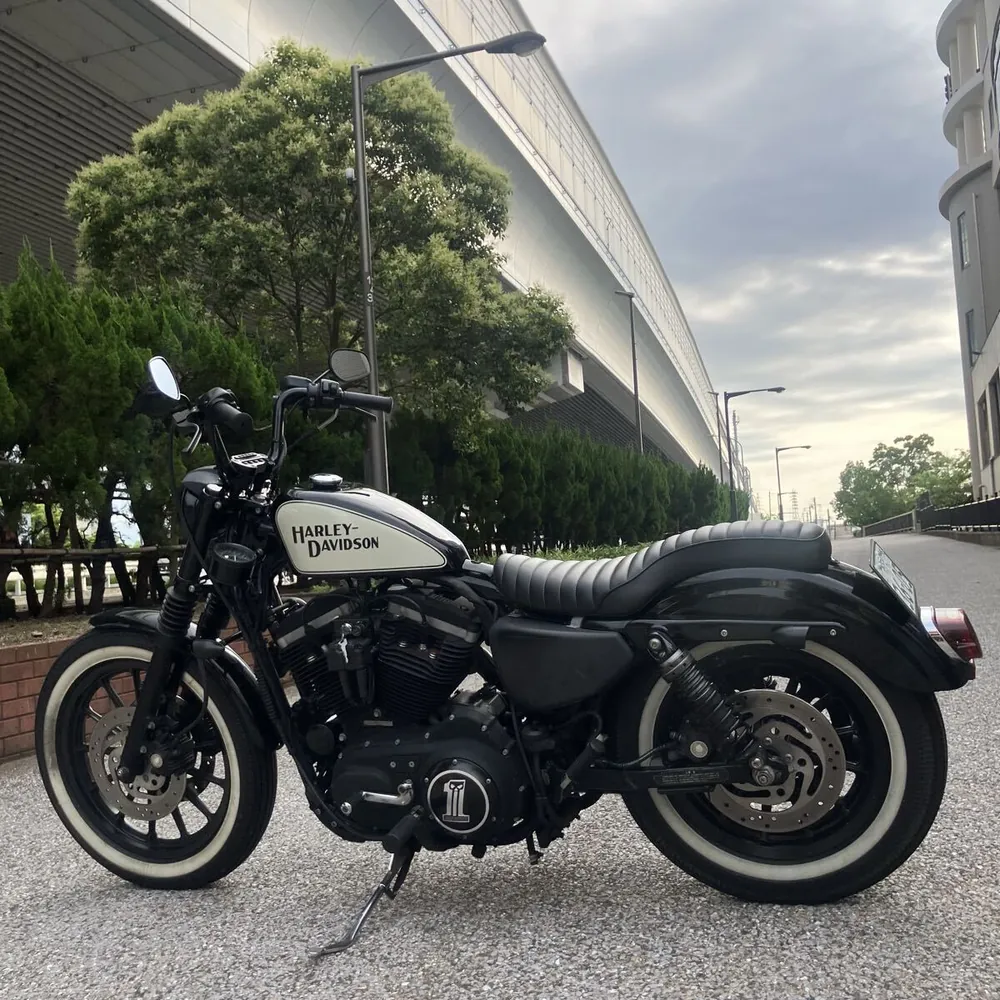 Harley-Davidson XL883R 2006, фото 2