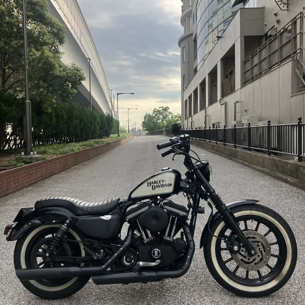 Harley-Davidson XL883R 2006, фото 3