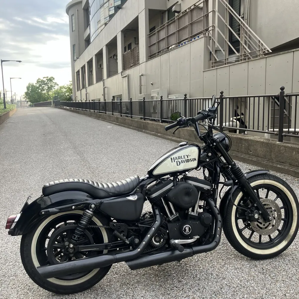 Harley-Davidson XL883R 2006, фото 4