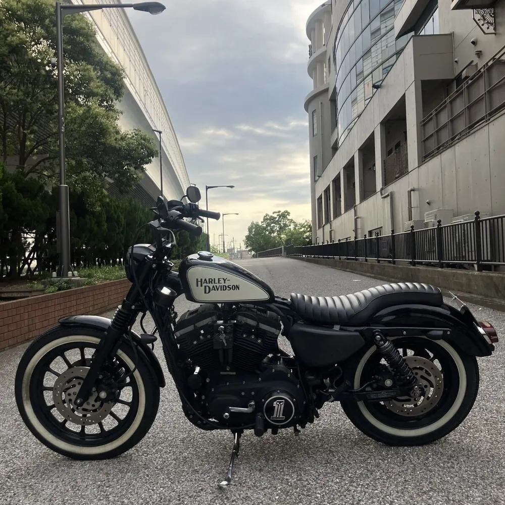 Harley-Davidson XL883R 2006, фото 5