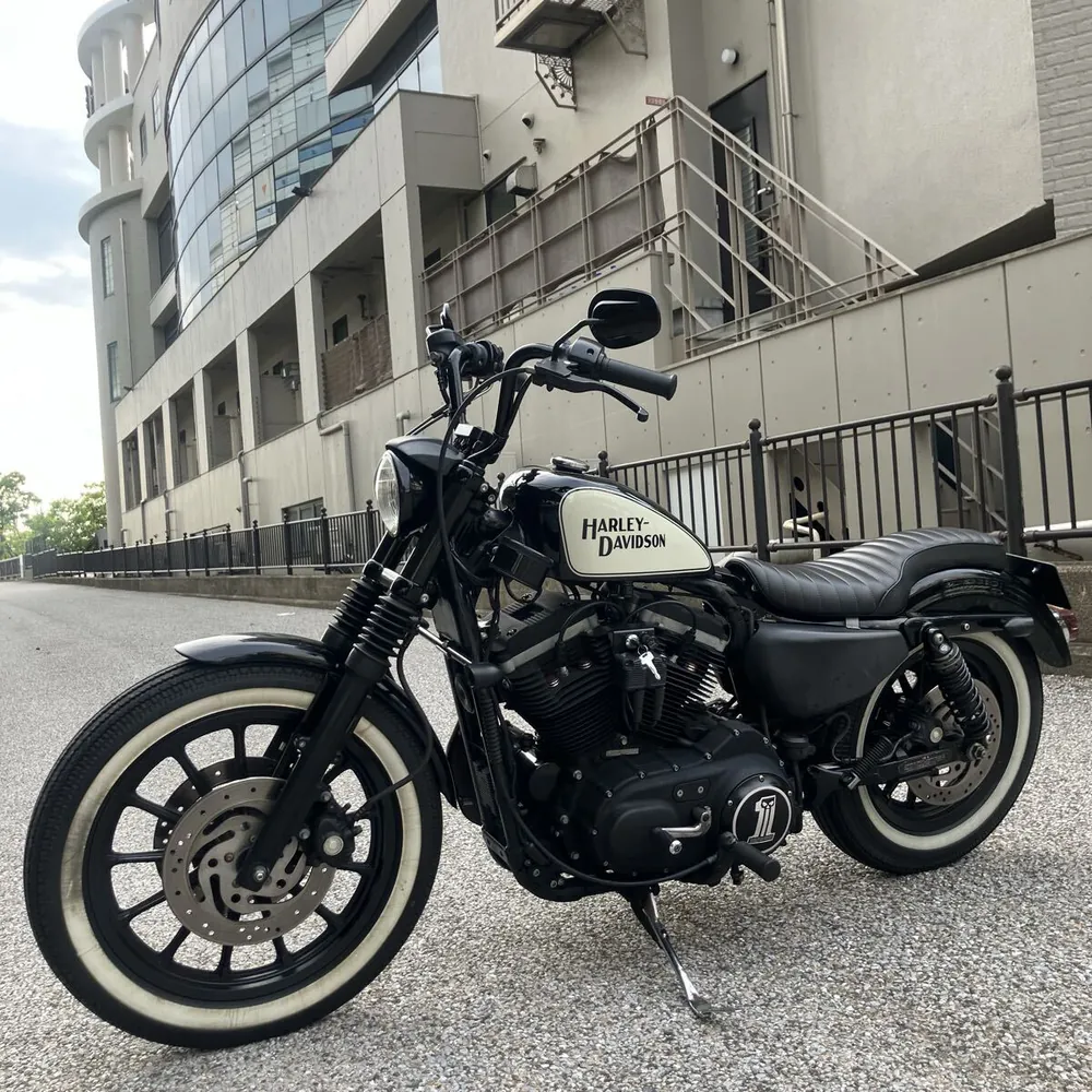 Harley-Davidson XL883R 2006, фото 6