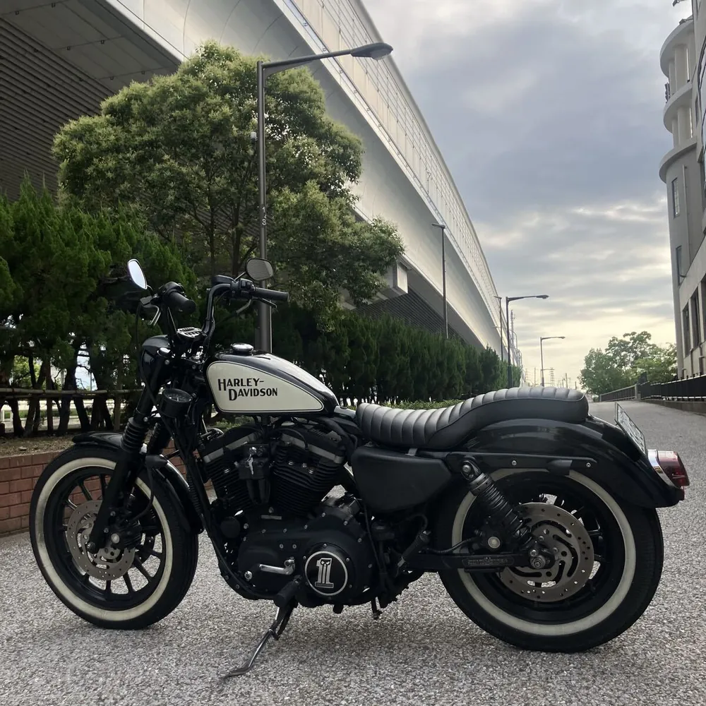 Harley-Davidson XL883R 2006, фото 7