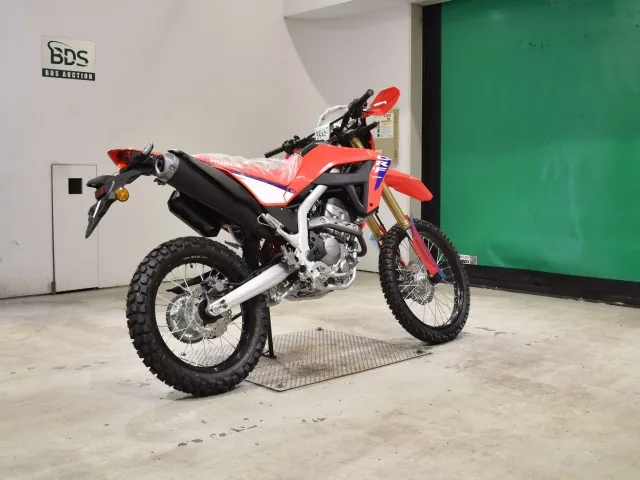 Honda CRF250 Rally, white | red | blue, фото 5
