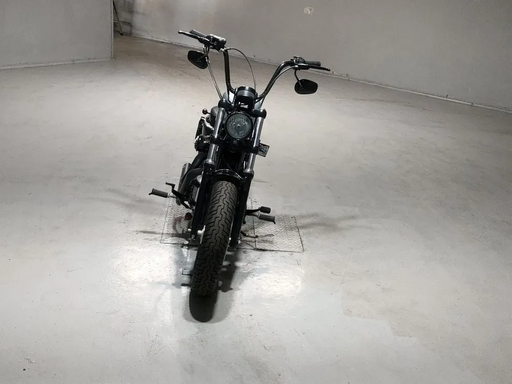 Harley-Davidson XL1200X 2010, серый, фото 3