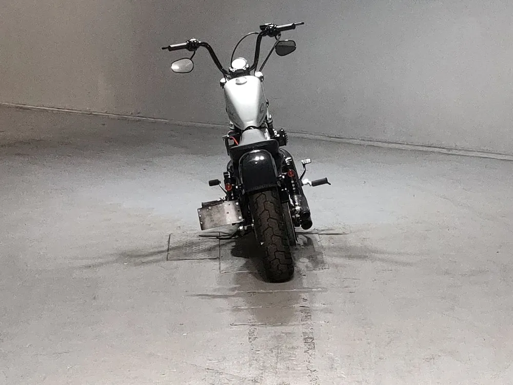 Harley-Davidson XL1200X 2010, серый, фото 4