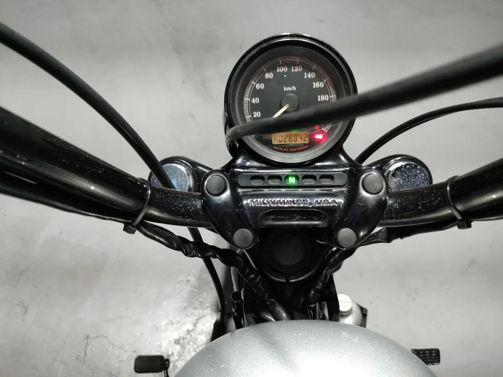 Harley-Davidson XL1200X 2010, серый, фото 5