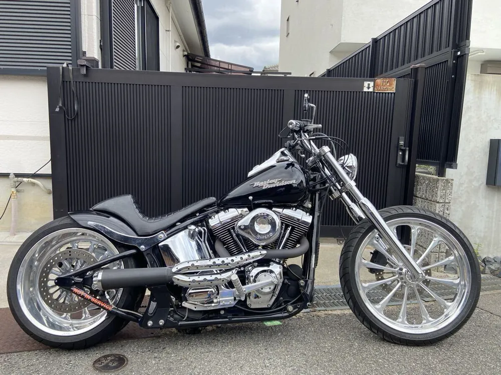 Harley-Davidson Softail 2003, фото 3