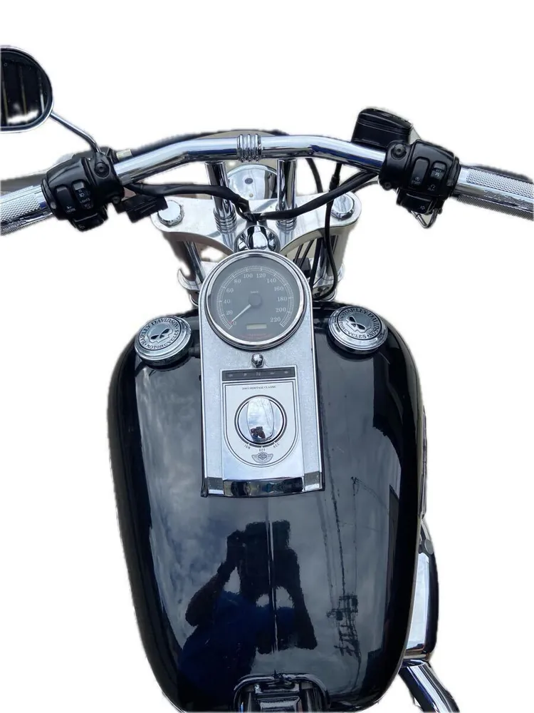 Harley-Davidson Softail 2003, фото 6